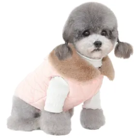Pet Clothes Autumn and Winter New Pet Coat Warm Winter Cotton-Padded Clothes